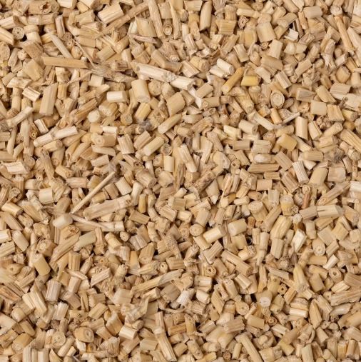 GRAMIGNA RADICE TT 100G