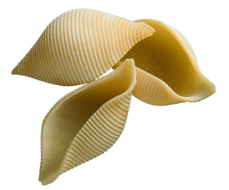 E CONCHIGLIONI GIGANTI  SENZA GLUTINE 500G