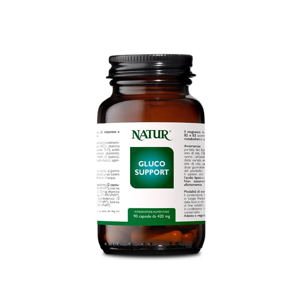 GLUCO SUPPORT 90 CAPSULE