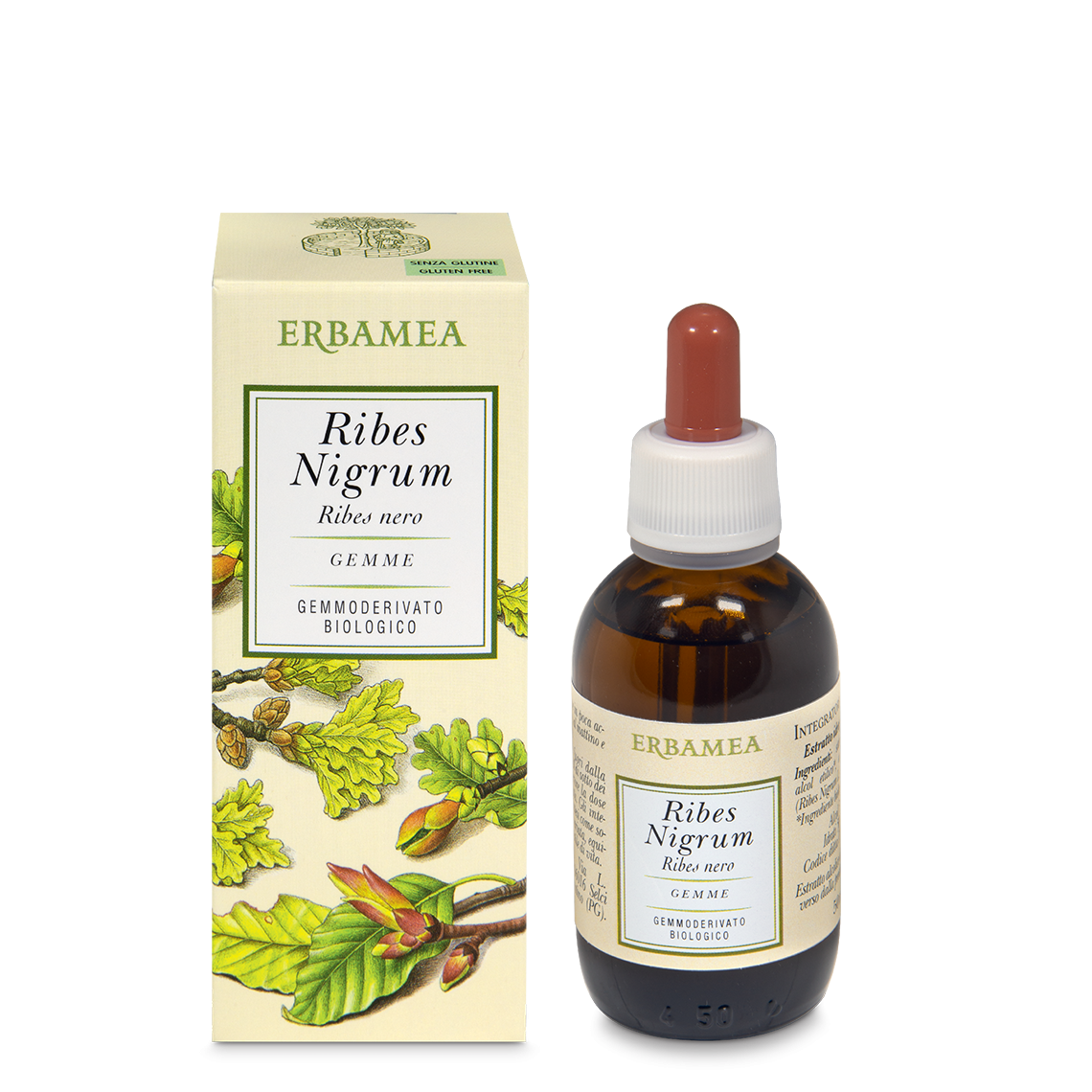 RIBES NIGRUM GEMME GEMMODERIVATO 50ML