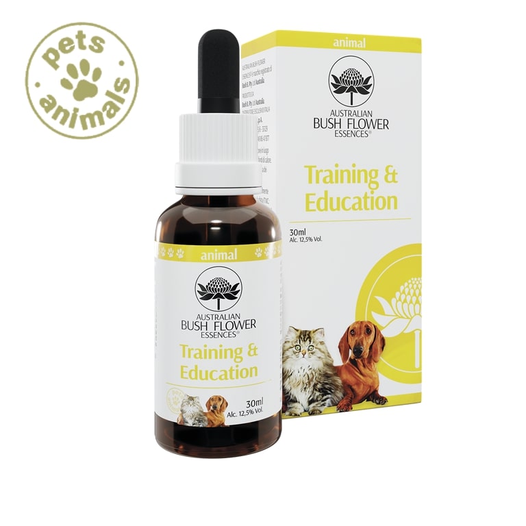 AUSTRALIAN BUSH FLOWER - TRAINING & EDUCATION PETS GTT 30ML