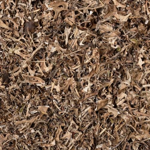 LICHENE ISLANDICO TALLO TT 100G