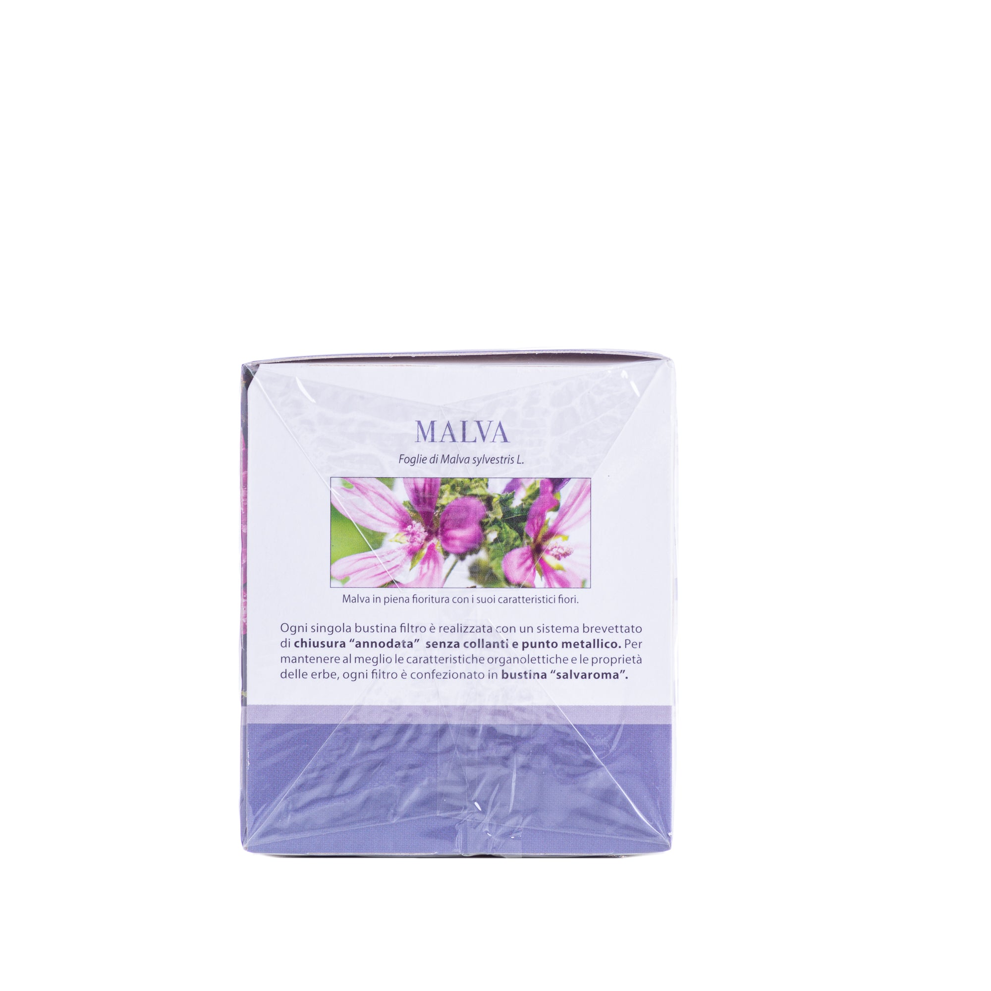 malva tisana