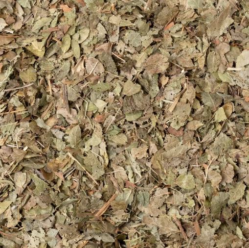 MIRTILLO FOGLIE TT 100G
