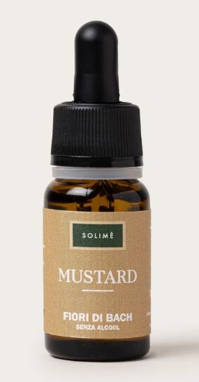 MUSTARD 10ML