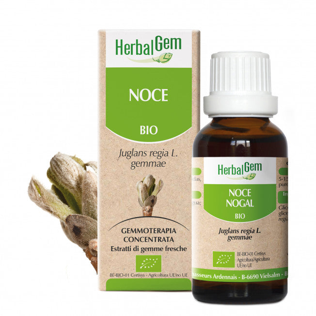 HERBALGEM NOCE 15ML