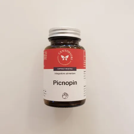 PICNOPIN 60 CAPSULE