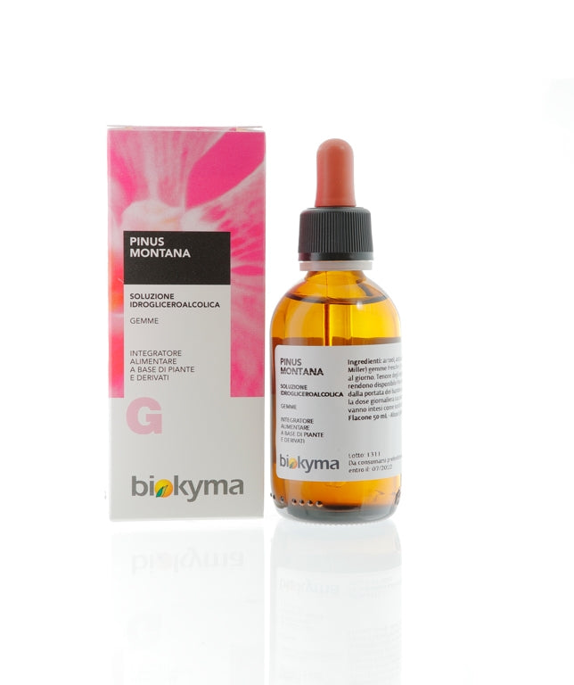 PINUS MONTANA GEMME PINO MUGO 50ML