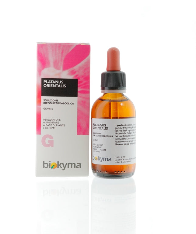 PLATANUS ORIENTALIS GEMME PLATANO 50ML