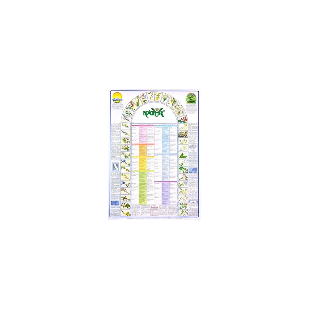 POSTER FIORI BACH 84X60