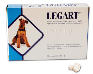 LEGART POWER