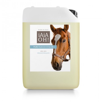 IAIAOH CAVALLO ALOE SUCCO