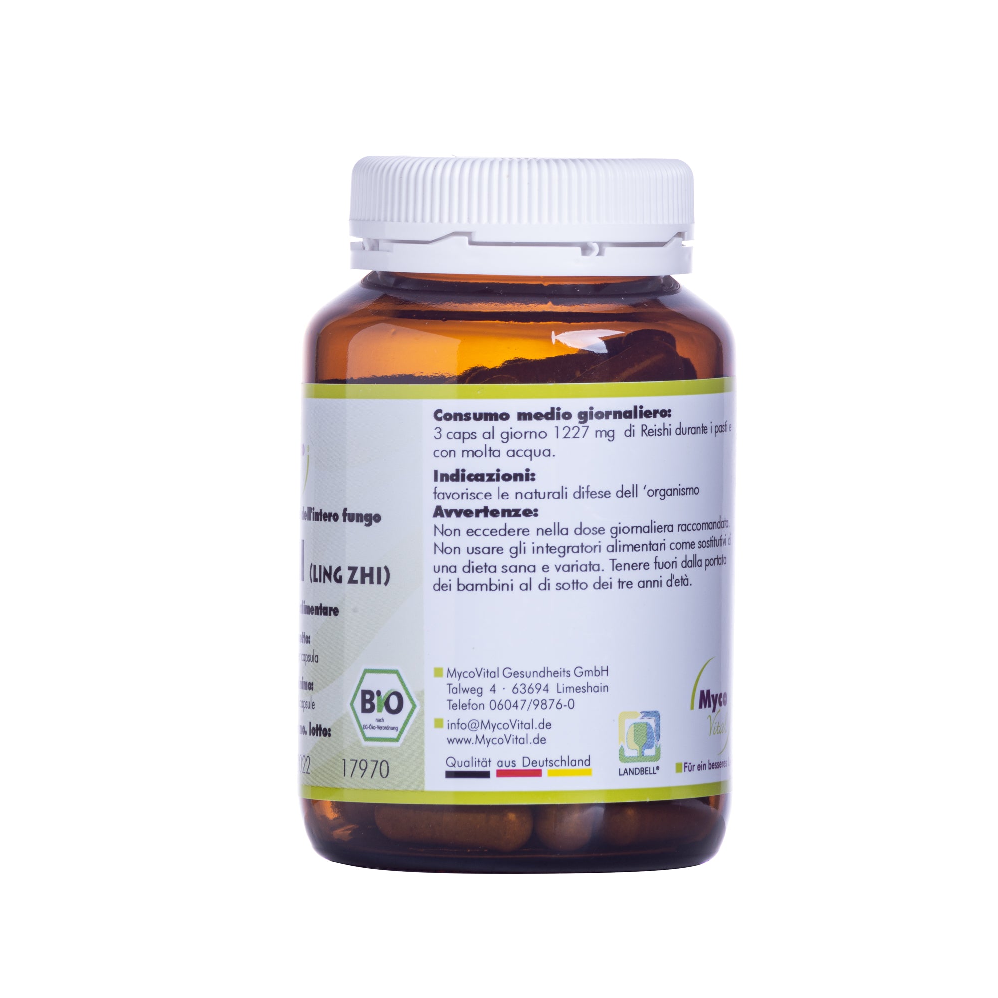 reishi freeland