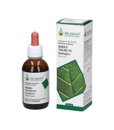 RIBES NIGRUM MG 100ML