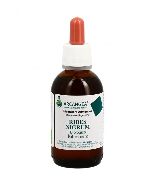 RIBES NIGRUM BIO 50ML