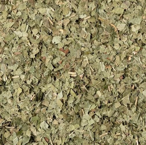 RIBES NERO FOGLIE TT 100G