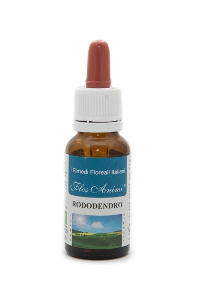 RODODENDRO FIORE ITALIANO FLOS ANIMI