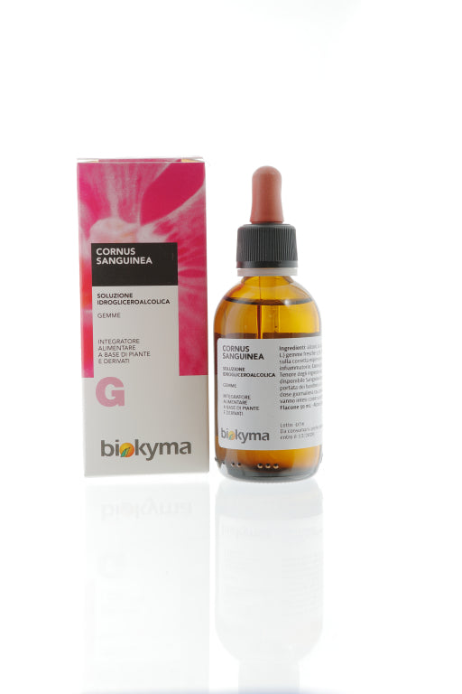 CORNUS SANGUINEA GEMME SANGUINELLA 50ML