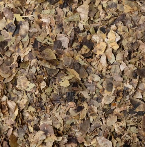 SENNA TINNEVELLY FRUTTI TT 100G