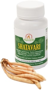 AYURERA SHATAVARI - 60 CPR