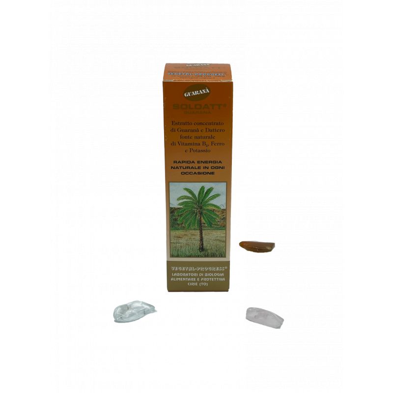SOLDATT GUARANA 100ML