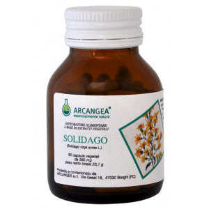 SOLIDAGO 60 CAPSULE