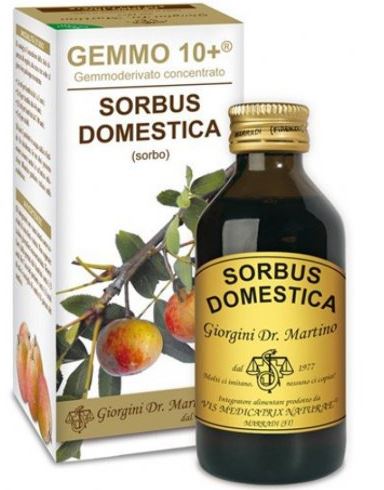 SORBO LIQUIDO ANALCOLCO GEMMO10+ 500ML
