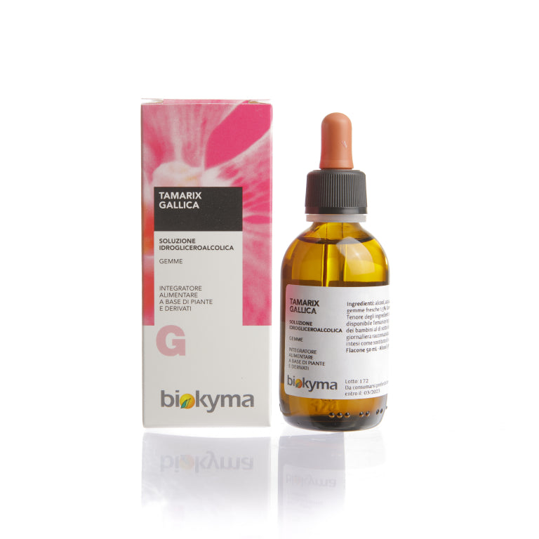 TAMARIX GALLICA GEMME (TAMARICE) TM 50ML