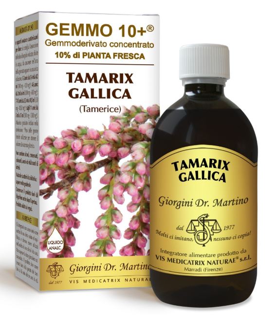TAMERICE LIQUIDO ANALCOLICO GEMMO10+ 500ML