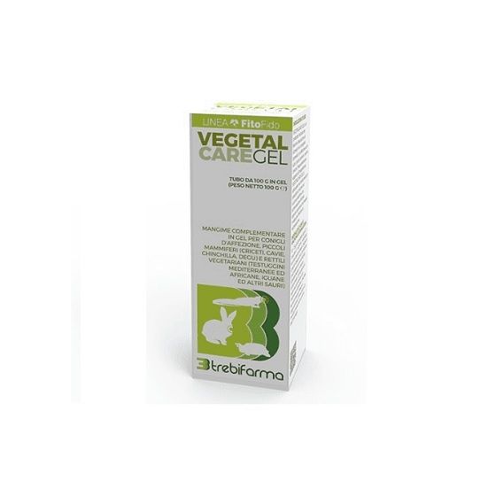 VEGETAL CARE GEL - 100 G