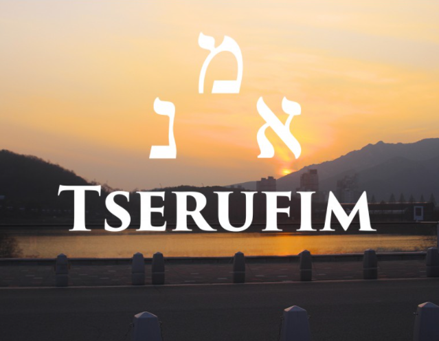 TSERUFIM 36 GTT - 30ML