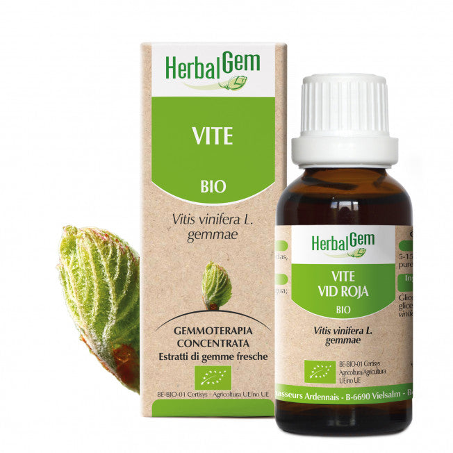HERBALGEM VITE 15ML