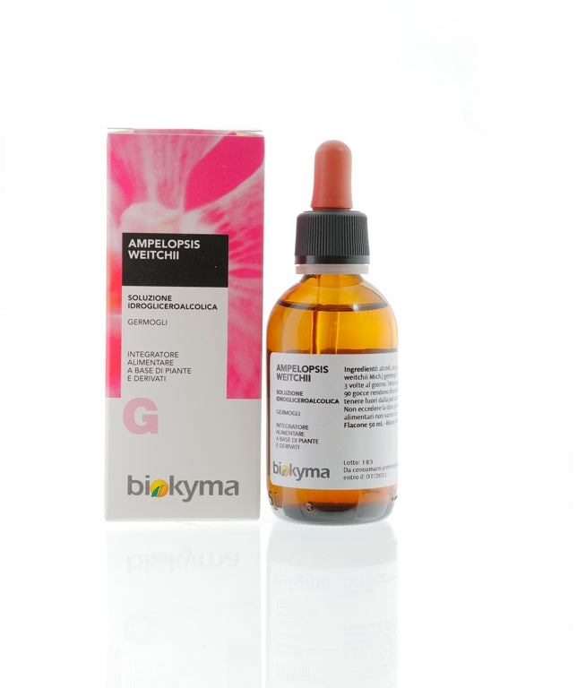 AMPELOPSIS WEITCHII VITE VERGINE GERMOGLI MG 100ML