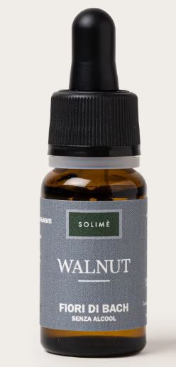 WALNUT 10ML