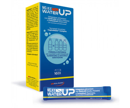 MGK VIS WATER UP 10STICK